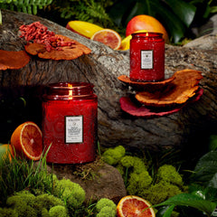 Goji Tarocco Orange - Small Jar Candle
