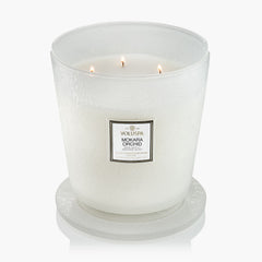 Mokara Orchid - 5 Wick Hearth Candle